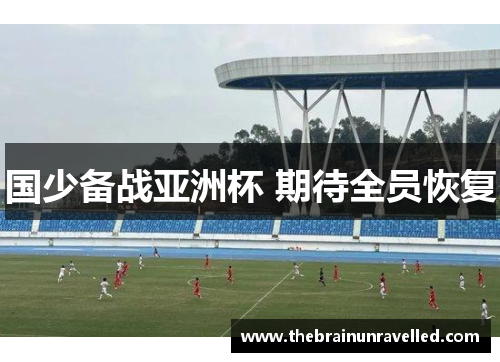国少备战亚洲杯 期待全员恢复